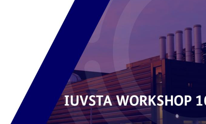 IUVSTA Workshop